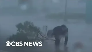 Weather Channel's Jim Cantore hit by tree branch during Hurricane Ian coverage