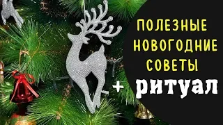 Полезные новогодние советы. магия нового года. практика, чтобы был достаток