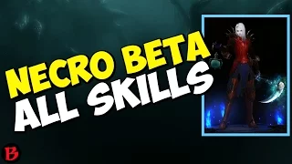 Diablo 3 - Necromancer Beta All Skills, Passives & Abilities PTR 2.6 Gameplay