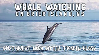 Whale Watching on Brier Island | Southwest Nova Scotia Travel Vlogs
