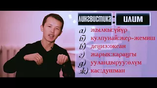 Кыргыз тили. Аналогиялар/окшоштуктар: тортунчу сабак(ЖРТга даярдануу)