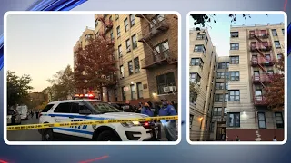 2 babies found dead in the Bronx