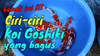 Cara Memilih Koi Goshiki Yang Bagus || Goshiki Ikan Koi 5 Warna || Tancho Goshiki Koi