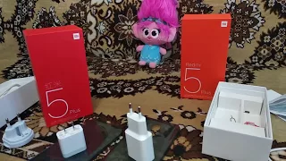 Xiaomi redmi 5 plus Global Version VS China Version (Не обзор)