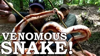 Catch and Cook {Clean} DANGEROUS SNAKE on a STICK! Ep02 | 100% WILD Food SURVIVAL Challenge!