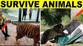 7 Easy Tips to Survive Wild Animal Attacks! [Life Saver]