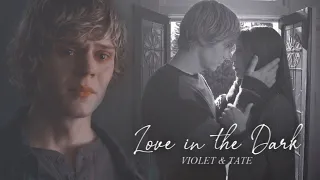 Tate & Violet • Love In The Dark • American Horror Story • HBD @daydreaminxedits