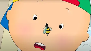 Caillou and the Wasp | Caillou Cartoon