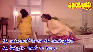 MOHAN BABU ADORES NATURAL SWING OF HER HIPS | PEDDINTALLUDU | SUMAN | NAGMA | MOHAN BABU | VANISRI