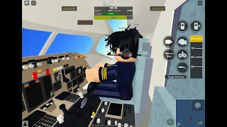 Roblox south jet 227 flight in storm and crash scene