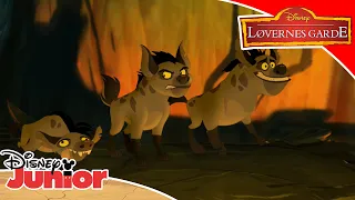 Løvernes garde | Hyæneharmoni 🎶 | Disney Junior Danmark