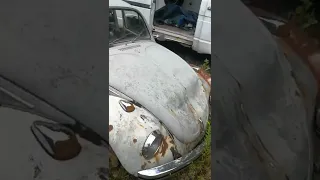 Фольксваген жук / Volkswagen Beetle