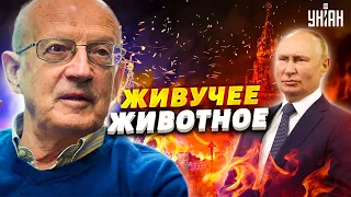 Деду теперь нужен другой подарок! Что получил Путин к 70-летию - Пионтковский