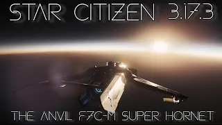 Star Citizen 3.17.3 - The F7C-M Pretty Hornet