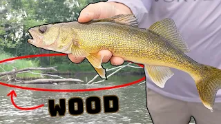 How to Catch Walleyes in Wood! (Wisconsin River)