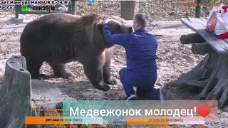 Андрей заметил пропажу! ♥️ Медведь Мансур