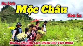 Du Lịch Mộc Châu Sơn La 2N1Đ | Hướng Dẫn Những Điểm Tham Quan Mới Nhất