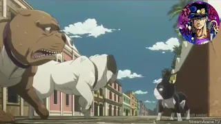 Iggy VS pet shop [AMV]