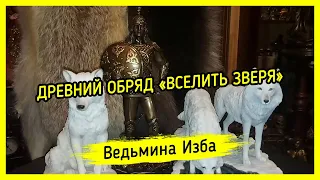 ДРЕВНИЙ ОБРЯД «ВСЕЛИТЬ ЗВЕРЯ». #ВЕДЬМИНАИЗБА ▶️ #МАГИЯ