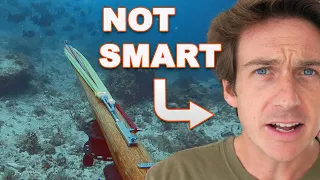 I got schooled by a school of fish (spearfishing)