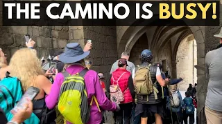 Record-Breaking Pilgrim Increase in 2024 | Walking the Camino de Santiago - What's it Like Now?