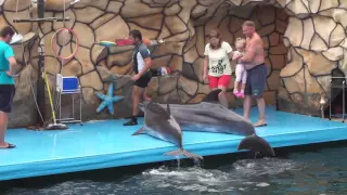 [за кадром] Анапский Дельфинарий, Большой Утриш