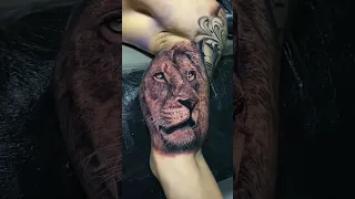татуировка на руке лев #shorts #tattoo #lion #liontattoo