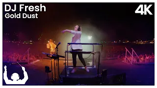 SYNTHONY - DJ Fresh 'Gold Dust' (Live at The Auckland Domain 2024) | ProShot 4K