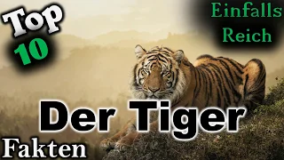 10 Interessante Fakten über den Tiger