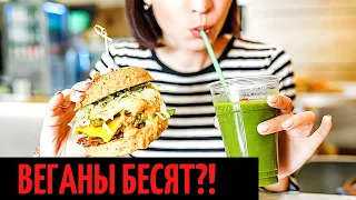 Веганы Почему они бесят людей?