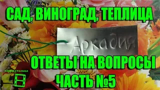 САД, ВИНОГРАД, ТЕПЛИЦА. №5 ОТВЕТЫ НА ВОПРОСЫ. ПРЯМЫЕ ТРАНСЛЯЦИИ