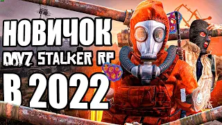 Dayz Stalker RP что это в 2022 году