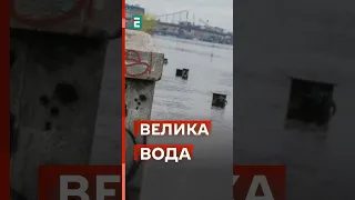 ❗️Рекордний РІВЕНЬ ВОДИ У ДНІПРІ: Київ затопить? #еспресо #новини