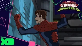 Ultimate Spider-Man Vs. The Sinister Six | Graduation Day | Disney XD