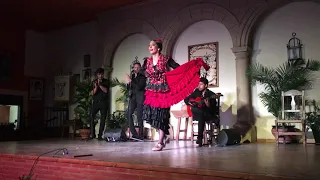 Noelia Vilches- Primer Premio Peña Flamenca de Ronda- Taranto