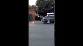 Guide dog at a busy crossing