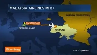 Malaysia MH17 Crash: Here Are the Geopolitical Implications