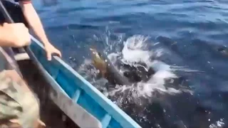 Fishing fails compilation