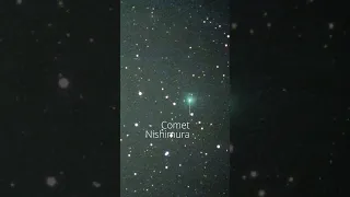 Bright Comet Approaching Earth Update - Aug 18, 2023 #shorts