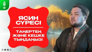 Ясин сүресі - Сізге Түні Бойы Тыныштық Сыйлайды! қари Яхия Құрбан / сурелер мен дугалар