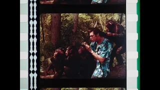 Ace Ventura: When Nature Calls (1995), 35mm film trailer, flat open matte 1.2 ratio