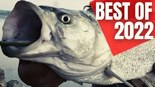 A Strange but Good Year of Fishing - Best of 2022