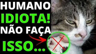 12 COISAS QUE OS GATOS ODEIAM que você JAMAIS DEVE FAZER! 🐱