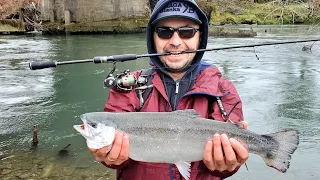 "თურქული კალმახი" Steelhead.