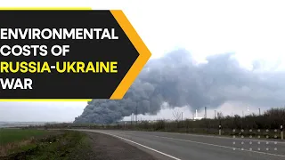 Environmental costs of Russia-Ukraine war are immense | WION Originals