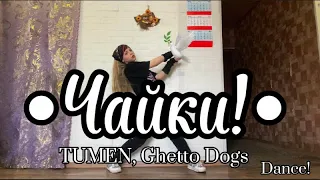 TUMEN,Ghetto Dogs - ‘Чайки!’ Valeria Rhee Dance Cover