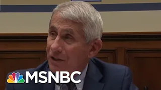 Dr. Fauci Assures A Coronavirus Vaccine Will Be A 'Reality' | MSNBC