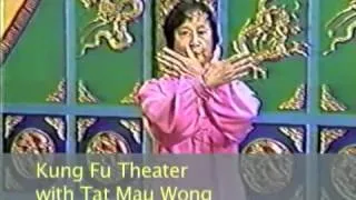 Kung Fu Theater: Wen Mei Yu demonstrates