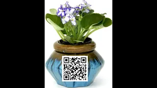 African Violet Pot Containers