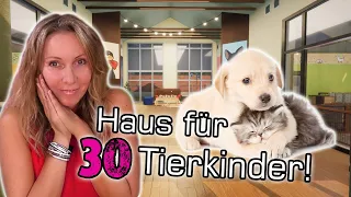 So viel Platz für Kätzchen und Welpen 🐱 XL Tierhaus 😍 Animal Shelter Simulator deutsch 🏠 Folge 21